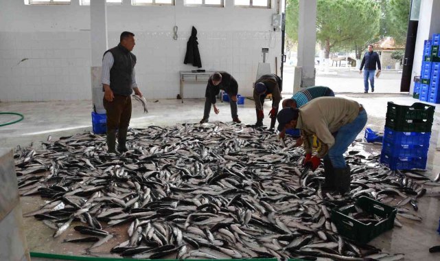 Muğla'nın Aralık ihracatı yüzde 7,7 arttı