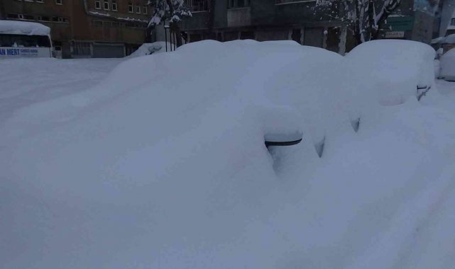 Muş'ta 352 köy yolu ulaşıma kapandı