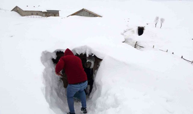 Muş'ta bir köy kara gömüldü, ulaşım için tüneller kullanılıyor