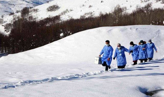 Muş'ta sağlık çalışanları aşı için karlı dağları aşıyor