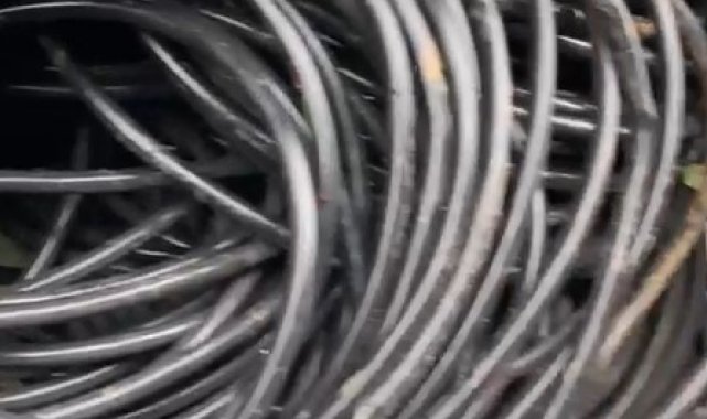 Müze Müdürlüğü'ne ait elektrik kablolarını çalarken suçüstü yakandılar