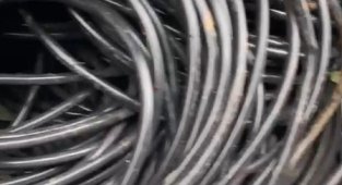 Müze Müdürlüğü'ne ait elektrik kablolarını çalarken suçüstü yakandılar