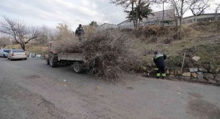 Nevşehir Belediyesi sanayi bölgesindeki yeşil alanlarda bakım ve temizlik çalışmaları başlattı