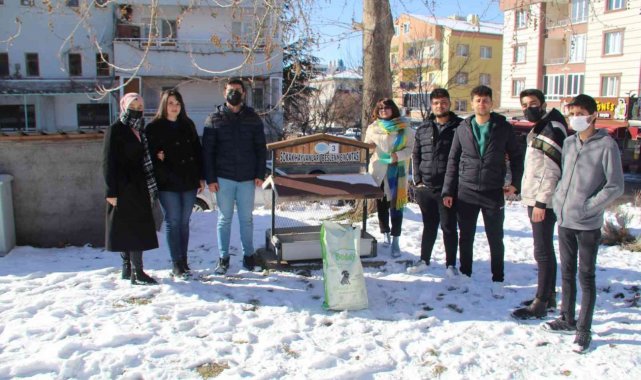 NEVÜ Öğrencileri sokak hayvanlarını unutmadı