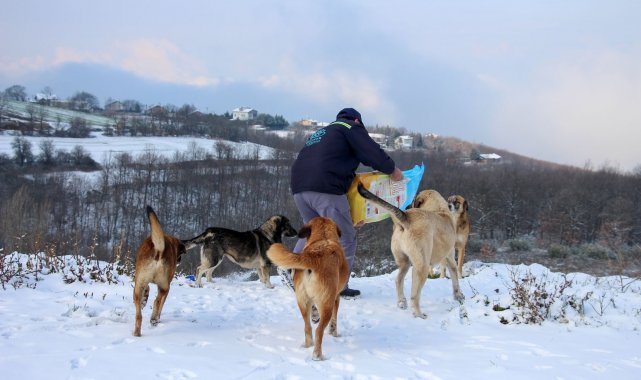 Nilüfer'de karla mücadele aralıksız sürüyor