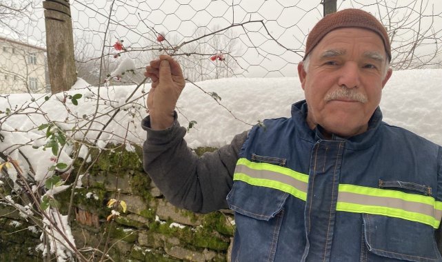 Ocak ayında nar ve erik ağaçları çiçek açtı