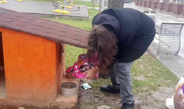 Öğrenciler sokak hayvanlarını besledi