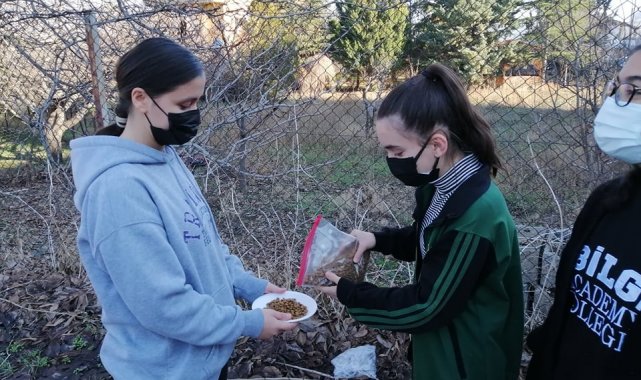 Öğrenciler sokak hayvanlarını unutmadı