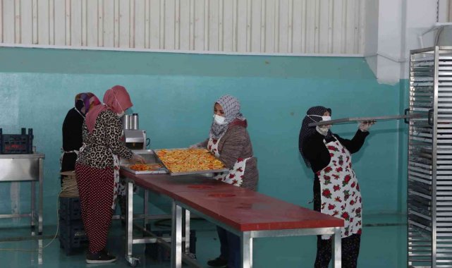 Oğuzelili kadınlar kurutulmuş meyve ihracatı hazırlığında