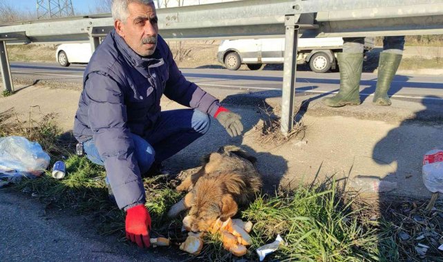 Ölmek üzereydi, ambulans şoförünün dikkati sayesinde kurtarıldı