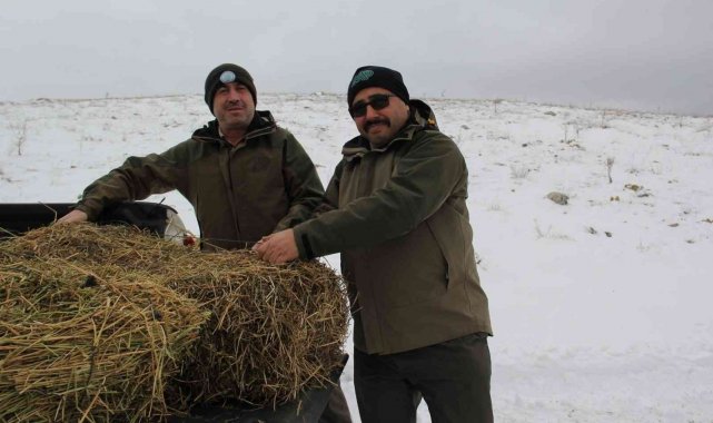 Olumsuz hava şartlarında yaban hayvanları unutulmadı