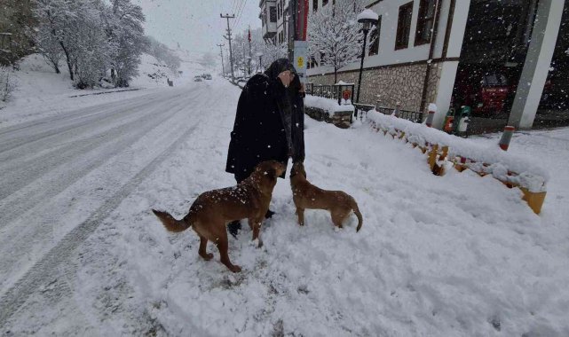 Onlar itfaiyenin neşe kaynakları