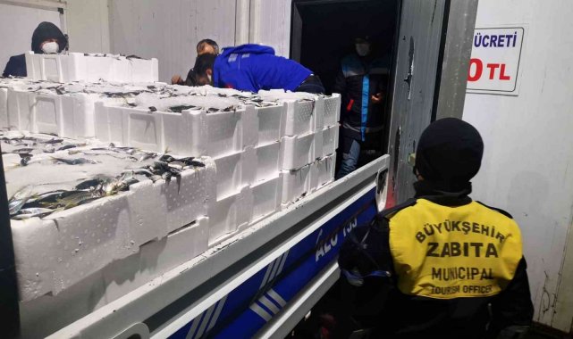 Ordu'da 2,5 ton balığa el konuldu