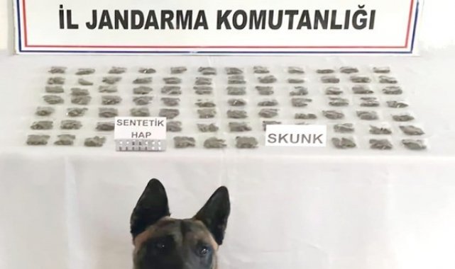 Ordu'da 3 torbacı yakalandı