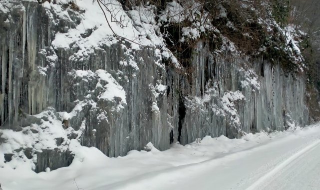 Ordu'da donduran görüntü