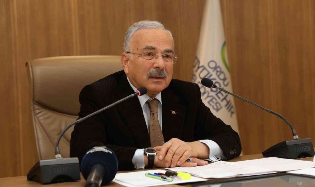 Ordu&#039;da sokak hayvanları için yeni kararlar alındı