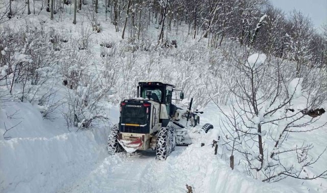 Ordu&#039;nun 19 ilçesinde karla mücadele sürüyor