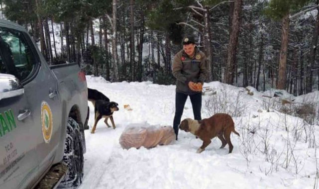 Ormancılar yaban hayatında yaşayan canlıları unutmadı