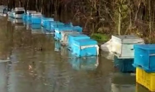 Ortaca'da arı kovanları sular altında kaldı