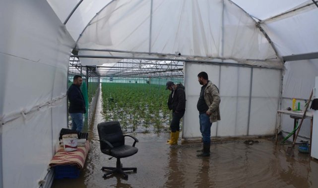Ortaca'da seralar ve narenciye bahçeleri su altında kaldı