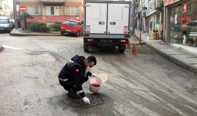 Osmangazi'de haşerelere karşı ilaçlama