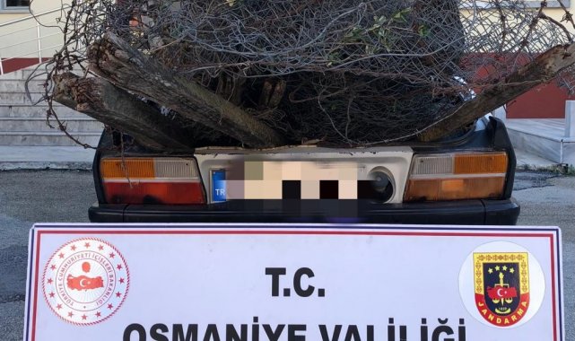 Osmaniye'de bağ, bahçe ve tarladan hırsızlık yapan zanlılar yakalandı