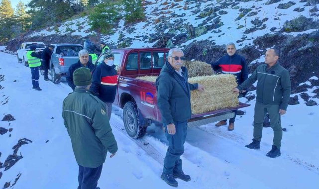 Osmaniye&#039;de yaban hayvanlarına yem desteği