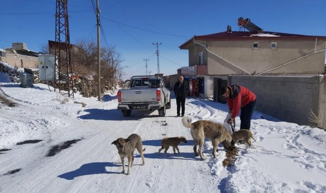 Özel İdare ekipleri sokak hayvanlarına mama bıraktı