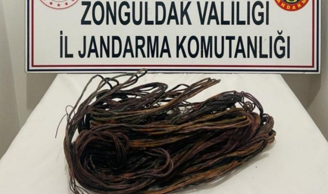 Parke makinelerinin 30 bin TL'lik kablolarını çaldılar