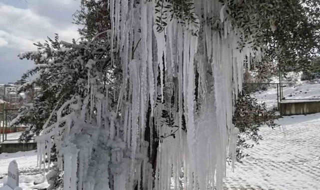 Patlayan çeşme ağaçta buz sarkıtları oluşturdu