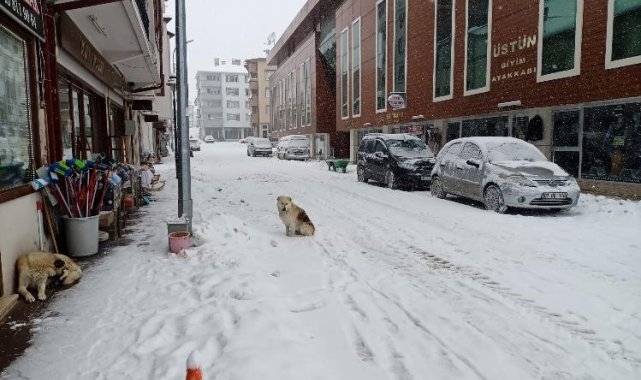 Pazaryeri ilçesi kar altında bir başka güzel