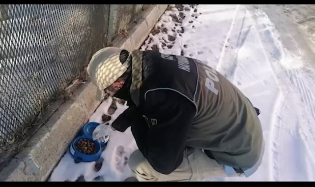 Polis ekipleri yaban hayvanlarını unutmadı