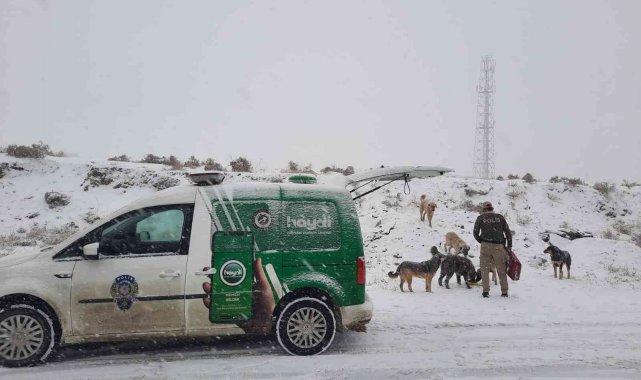 Polis ekipleri zorlu kış şartlarında sokak hayvanlarını unutmadı