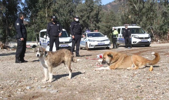 Polis ekipleri zorlu kış şartlarında sokak hayvanlarını unutmadı