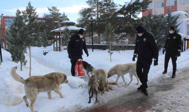 Polis ekiplerinden sokak hayvanlarına şefkat eli