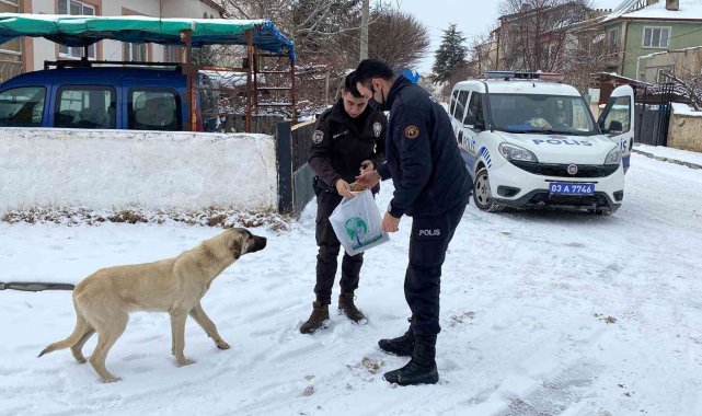 Polis hem devriye gezdi hem de sokak hayvanlarını beslediler
