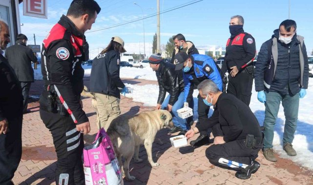 Polisler sokak hayvanlarını unutmadı