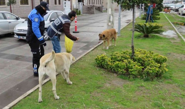 Polisten sokak hayvanlarına mama ve su desteği
