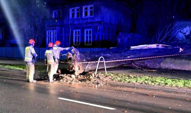 Polonya'da fırtına: 1 milyona yakın ev elektriksiz kaldı, 1 kişi öldü