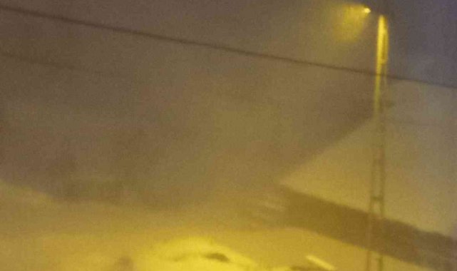 Posof'ta tipi hayatı olumsuz etkiliyor