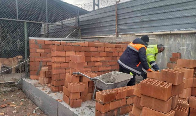 Pursaklar Hayvan Barınağı'nda iyileştirme ve kapasite artırım çalışmaları