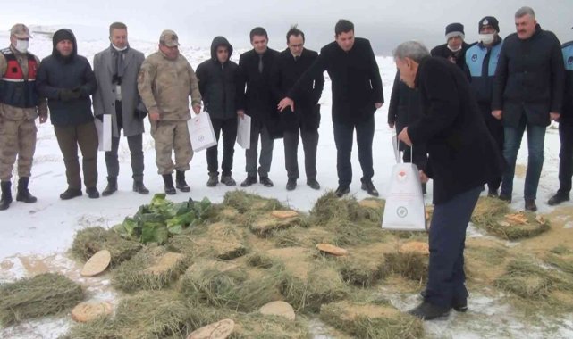 Pütürge'de yaban hayvanları unutulmadı