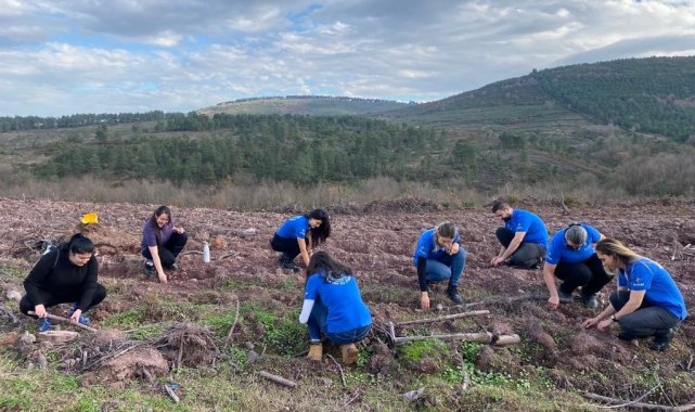 QNET Türkiye'den doğaya bin ağaç