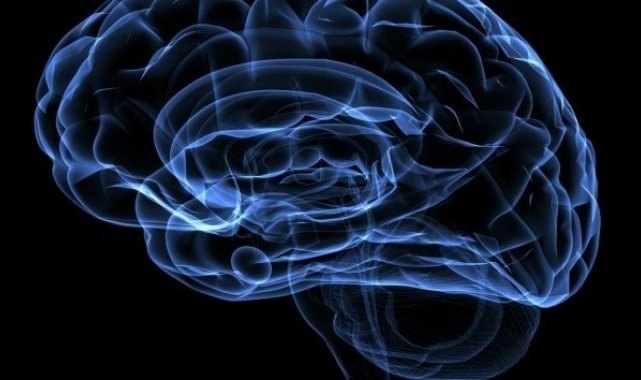 "Başkasının dertlerini dinlemek beyni güçlendiriyor"