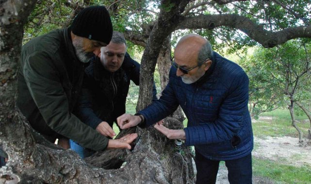 "Çeşme sakızı, ağızda sakız olmasın"
