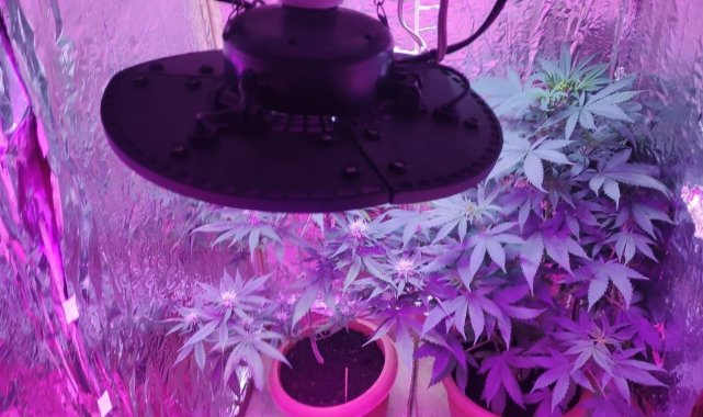 Rezidansta uyuşturucu üretim düzeneği hazırlayan şüpheliye gözaltı