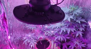 Rezidansta uyuşturucu üretim düzeneği hazırlayan şüpheliye gözaltı