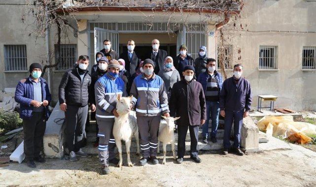 Saanen keçisi projesi başarıyla devam ediyor