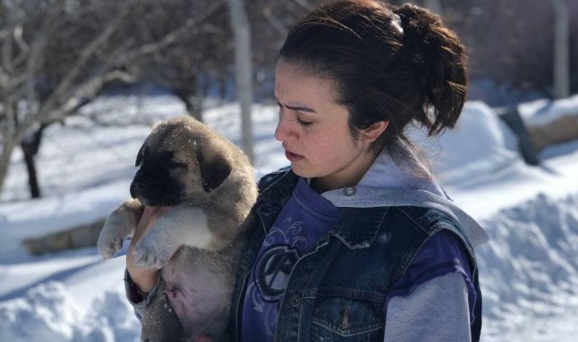 Sahipsiz köpeklere baba ile kızı sahip çıktı