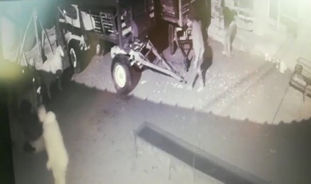 Sakar hırsızlar böyle görüntülendi